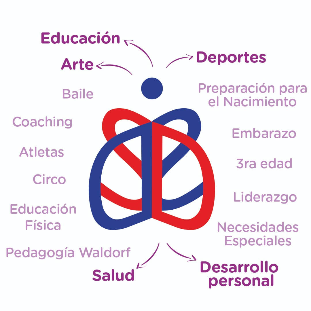 Diagrama con resumen de los diferentes ámbitos de aplicación.