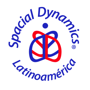 Spacial Dynamics® Logo